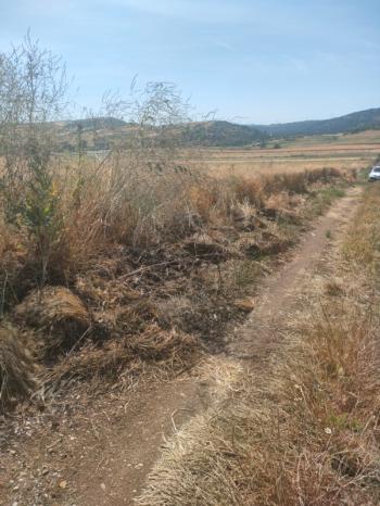BALIKESİR GÖNEN ULUKIR'DA SATILIK 8.500 M² VERİMLİ TARLA