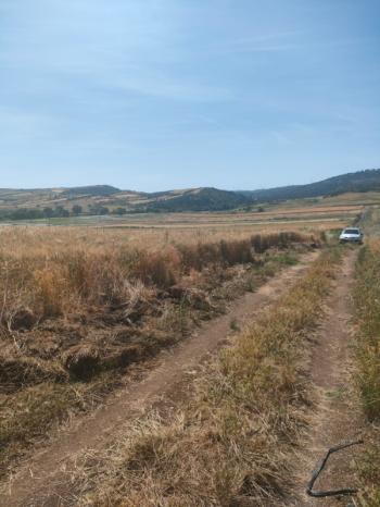 BALIKESİR GÖNEN ULUKIR'DA SATILIK 8.500 M² VERİMLİ TARLA