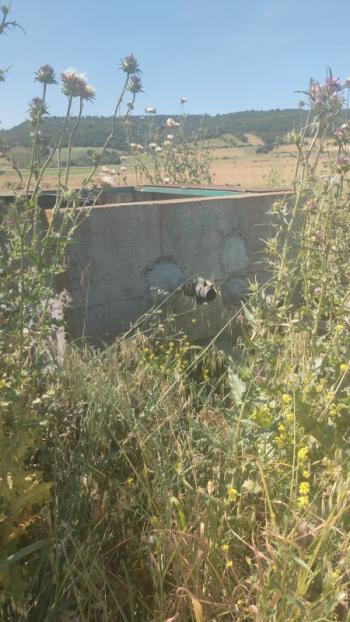 BALIKESİR GÖNEN ULUKIR'DA SATILIK 8.500 M² VERİMLİ TARLA