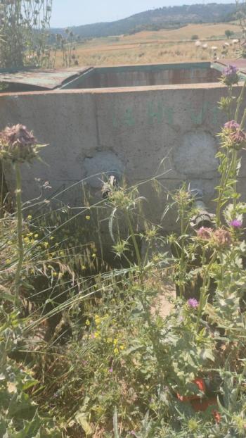 BALIKESİR GÖNEN ULUKIR'DA SATILIK 8.500 M² VERİMLİ TARLA