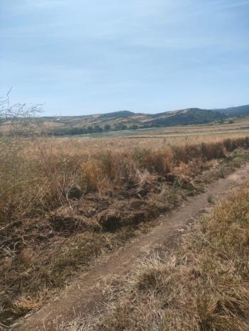 BALIKESİR GÖNEN ULUKIR'DA SATILIK 8.500 M² VERİMLİ TARLA