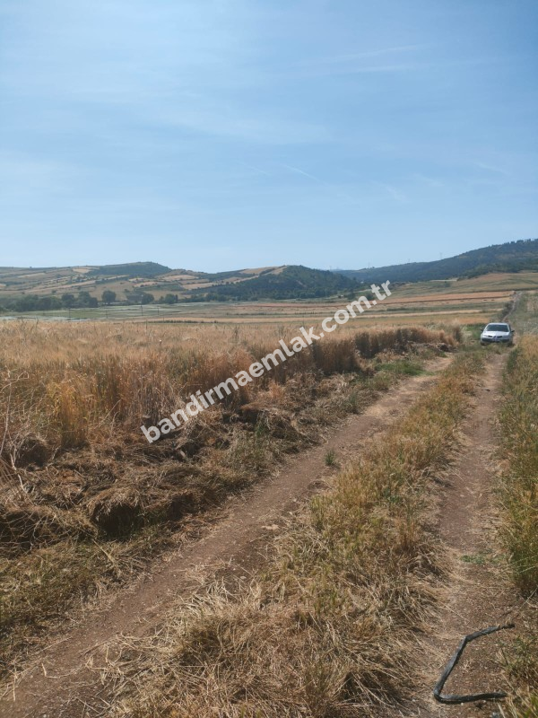BALIKESİR GÖNEN ULUKIR\\\\\\\\\\\\\\\'DA SATILIK 8.500 M² VERİMLİ TARLA