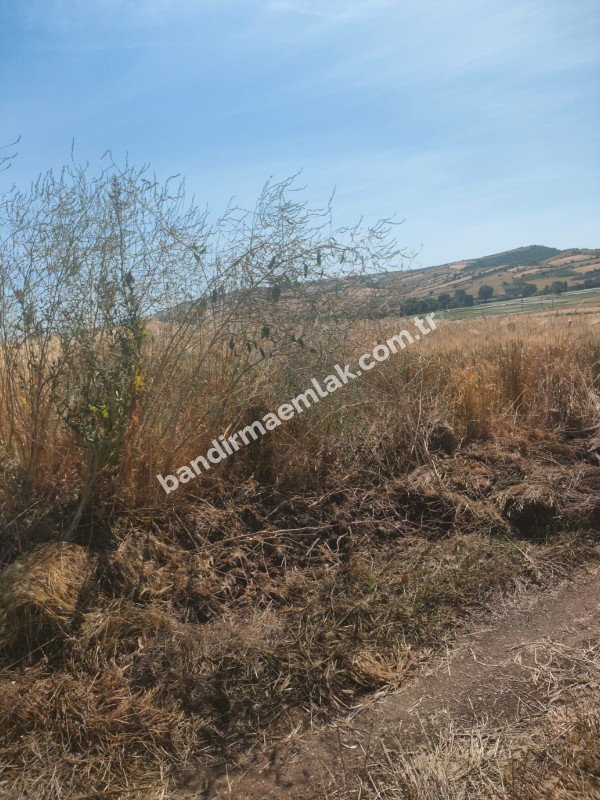 BALIKESİR GÖNEN ULUKIR'DA SATILIK 8.500 M² VERİMLİ TARLA