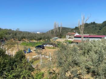  MUDANYA TRİLYE MERKEZE ÇOK YAKIN YAZ KIŞ GİDİLEBİLİR SATILIK 1.116 m2 BAHÇE