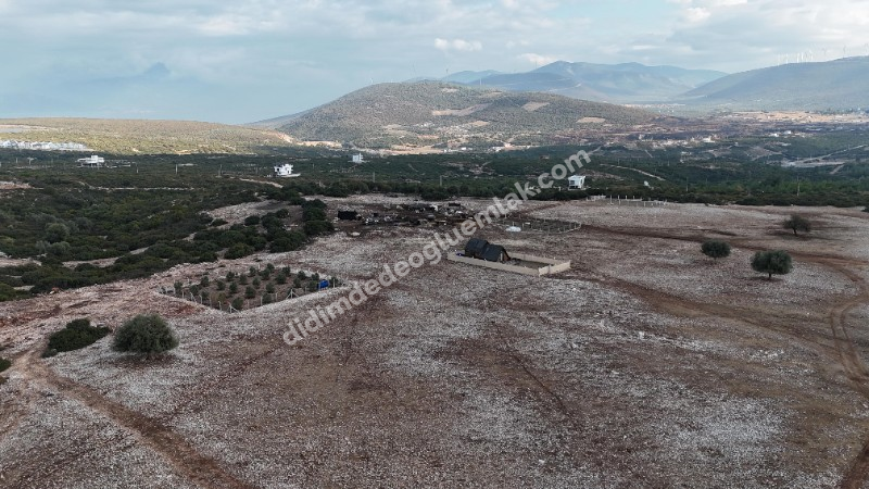 Didim Bozseki Satılık Manzarlı İmarlı Takas a Açık 300 Arsa