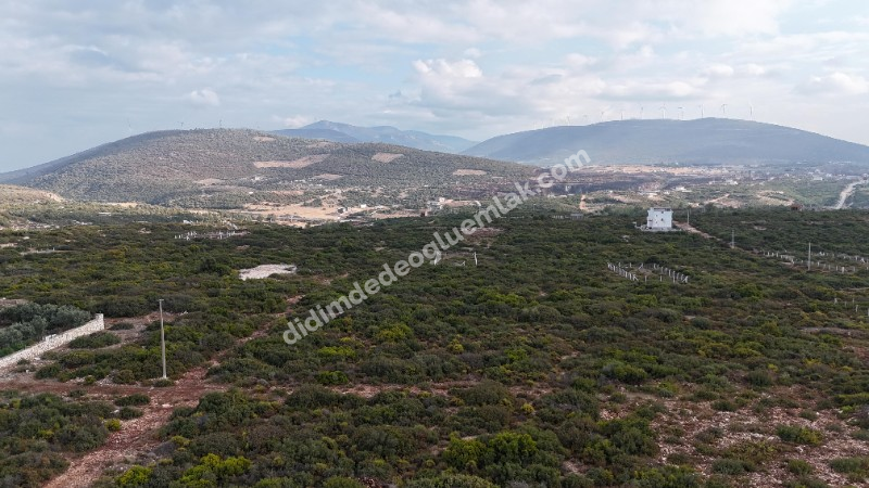 Didim Bozseki Satılık Manzarlı İmarlı Takas a Açık 300 Arsa