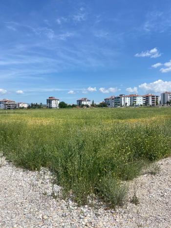 GÜVENAY - ÇORUM ULUKAVAK YENİ OSMANCIK YOLU CİVARI SATILIK ARSA