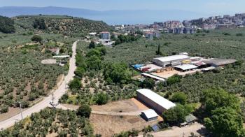 MUDANYA IŞIKLI YOLU'NDA 2.600M2 ARSASI, 440 M2 KAPALI ALANI OLAN KİRALIK DEPO