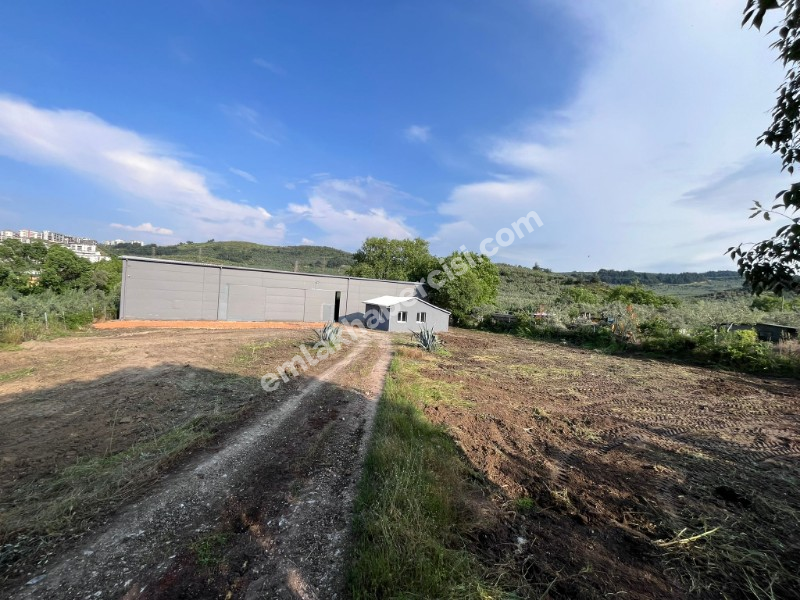 MUDANYA IŞIKLI YOLU'NDA 2.600M2 ARSASI, 440 M2 KAPALI ALANI OLAN KİRALIK DEPO