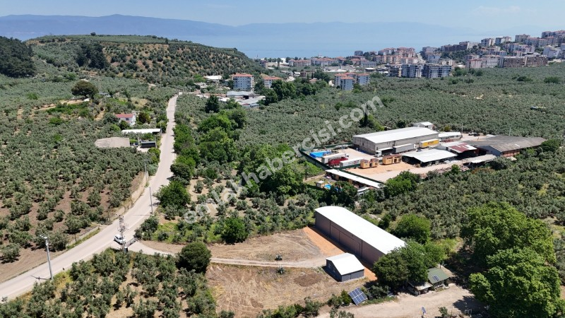 MUDANYA IŞIKLI YOLU'NDA 2.600M2 ARSASI, 440 M2 KAPALI ALANI OLAN KİRALIK DEPO