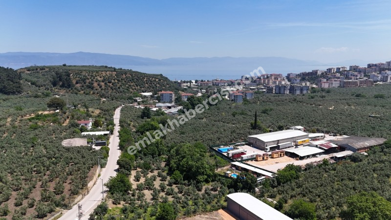 MUDANYA IŞIKLI YOLU'NDA 2.600M2 ARSASI, 440 M2 KAPALI ALANI OLAN KİRALIK DEPO