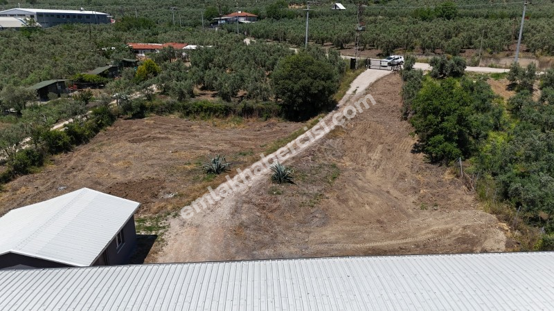 MUDANYA IŞIKLI YOLU'NDA 2.600M2 ARSASI, 440 M2 KAPALI ALANI OLAN KİRALIK DEPO