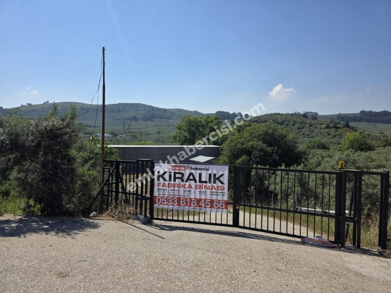 MUDANYA IŞIKLI YOLU'NDA 2.600M2 ARSASI, 440 M2 KAPALI ALANI OLAN KİRALIK DEPO