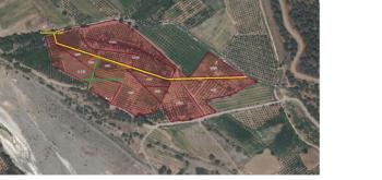 Köyceğiz Döğüşbelen\\\\\\\'de 544 m2 Narenciye Bahçesi 3E Emlak