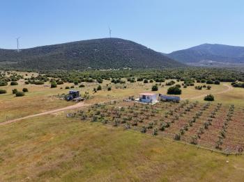 DİDİM BALOVADA SATILIK KÖŞE BAŞI  328M2 ARSA VE 682 ADA 5 PARSELDE 44M2 HİSSE HEDİYELİ 