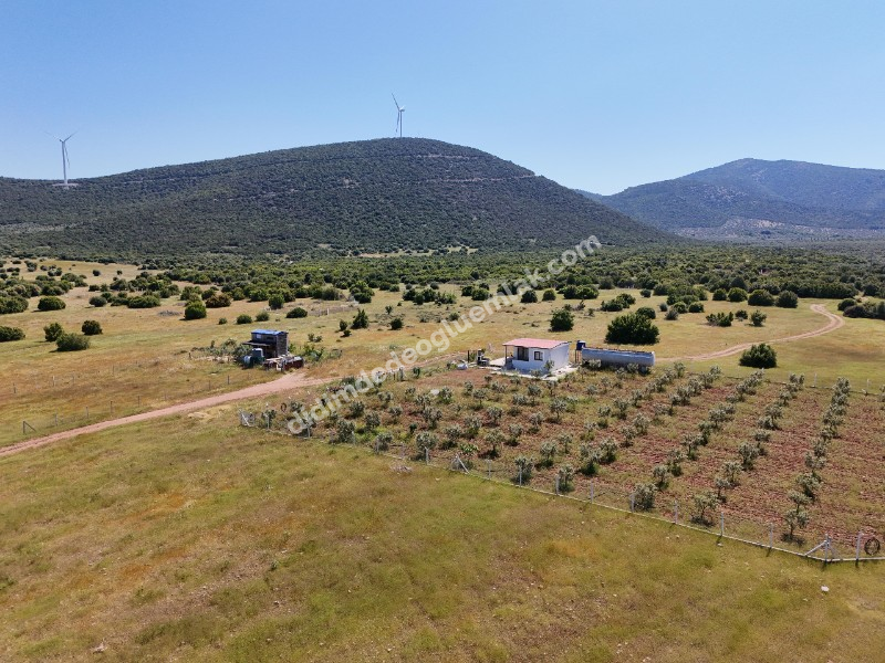 DİDİM BALOVADA SATILIK KÖŞE BAŞI  328M2 ARSA VE 682 ADA 5 PARSELDE 44M2 HİSSE HEDİYELİ 