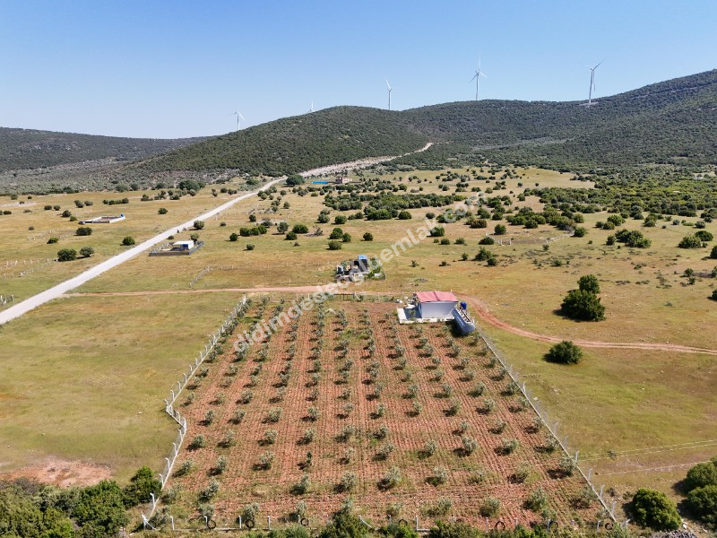 DİDİM BALOVADA SATILIK KÖŞE BAŞI  328M2 ARSA VE 682 ADA 5 PARSELDE 44M2 HİSSE HEDİYELİ 