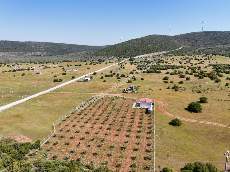 DİDİM BALOVADA SATILIK KÖŞE BAŞI  328M2 ARSA VE 682 ADA 5 PARSELDE 44M2 HİSSE HEDİYELİ 