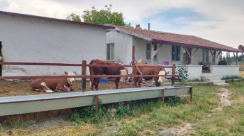 AFYON ÜÇOK EMLAKTAN MAREŞAL F ÇAKMAK MAH SATILIK 7320M² BESİHANELİ 2 KATLI EV 