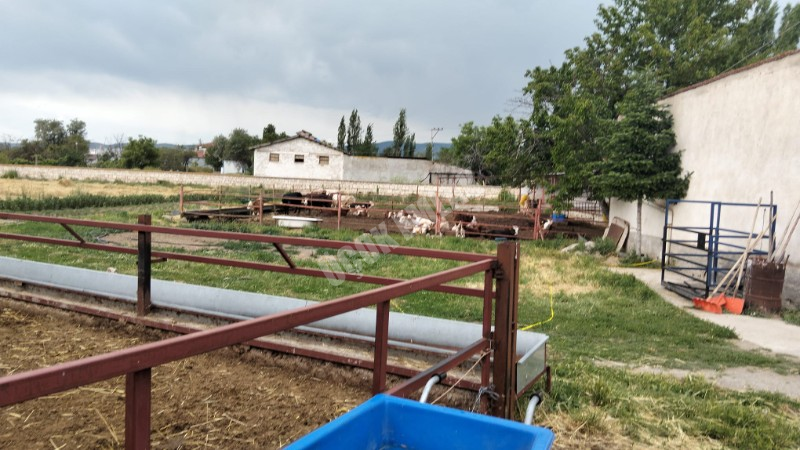 AFYON ÜÇOK EMLAKTAN MAREŞAL F ÇAKMAK MAH SATILIK 7320M² BESİHANELİ 2 KATLI EV 