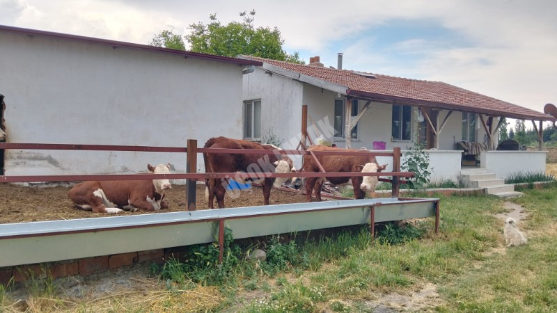 AFYON ÜÇOK EMLAKTAN MAREŞAL F ÇAKMAK MAH SATILIK 7320M² BESİHANELİ 2 KATLI EV 
