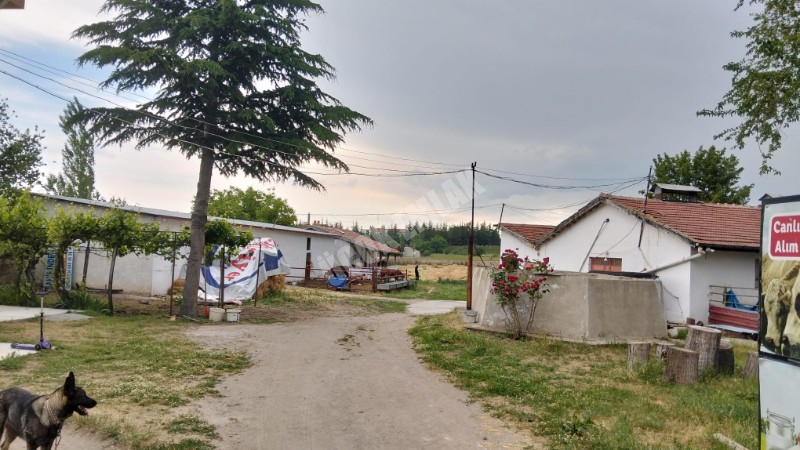 AFYON ÜÇOK EMLAKTAN MAREŞAL F ÇAKMAK MAH SATILIK 7320M² BESİHANELİ 2 KATLI EV 