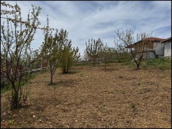 GÜVENAY - ÇORUM ÇORAKLIK ÜSTÜ BAYRAK TEPE HOBİ BAHÇELERİ SATILIK BAHÇE 