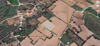 AFYON ÜÇOK EMLAKTAN KANLICA MAH SATILIK 2.933M² FIRSAT TARLA