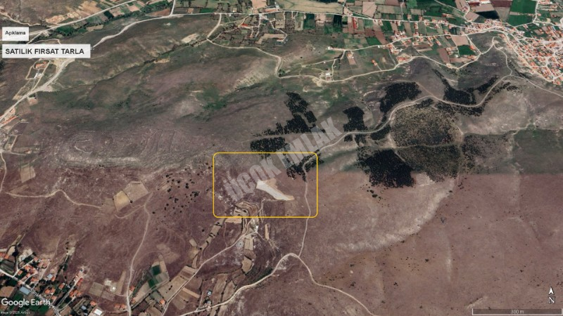 AFYON ÜÇOK EMLAKTAN SARIK KÖYÜ SATILIK 4.000M² TARLA