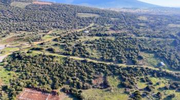 Akarkuyu'da Kelepir Fiyatına Satılık Yatırımlık Arsa - Müstakil Parsel