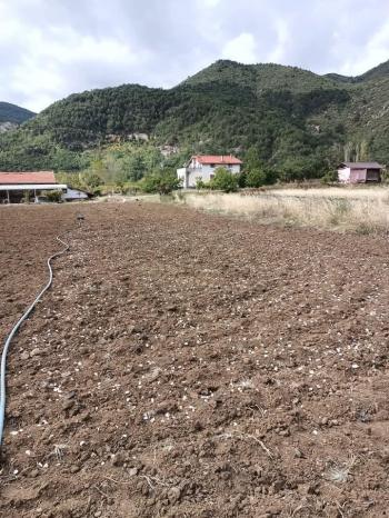 GÜVENAY - ÇORUM İSKİLİP TOSYA YOLU ÜZERİNDE YOLA SIFIR SATILIK 40 DÖNÜM KOMPLE ÇİFTLİK!