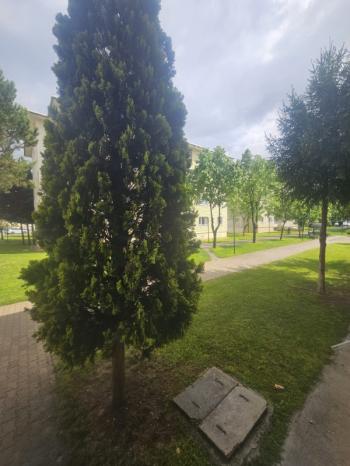 * AFYON ÜÇOK EMLAKTAN SAHİPATA MAH TOKİ 3+1 115M² TEMİZ BAKIMLI EŞYALI KİRALIK DAİRE *