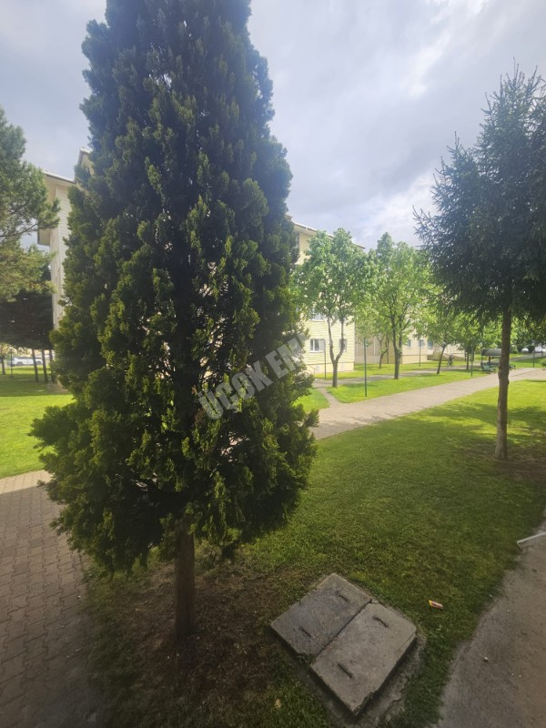 * AFYON ÜÇOK EMLAKTAN SAHİPATA MAH TOKİ 3+1 115M² TEMİZ BAKIMLI EŞYALI KİRALIK DAİRE *