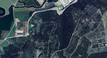 Didimde Satılık İmarlı Arsa - 515 m2 Bodrum Yoluna ve Bafa Gölüne Yakın