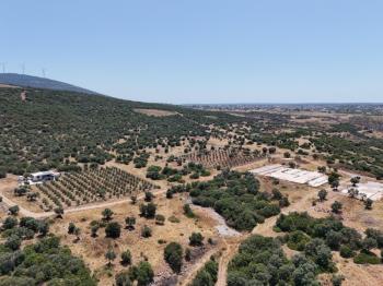 Didim Ak yeniköy Mah Akarkuyu Satılık 351m2 Park Cepeli Arsa
