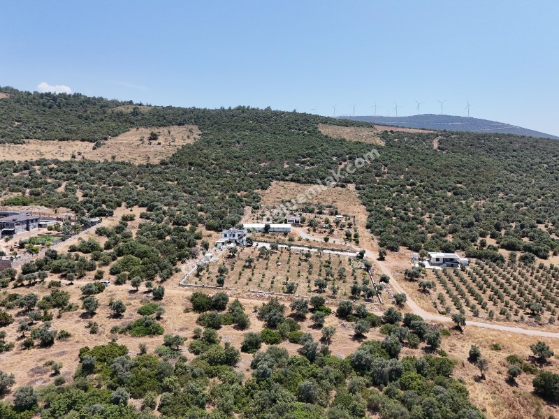 Didim Ak yeniköy Mah Akarkuyu Satılık 351m2 Park Cepeli Arsa