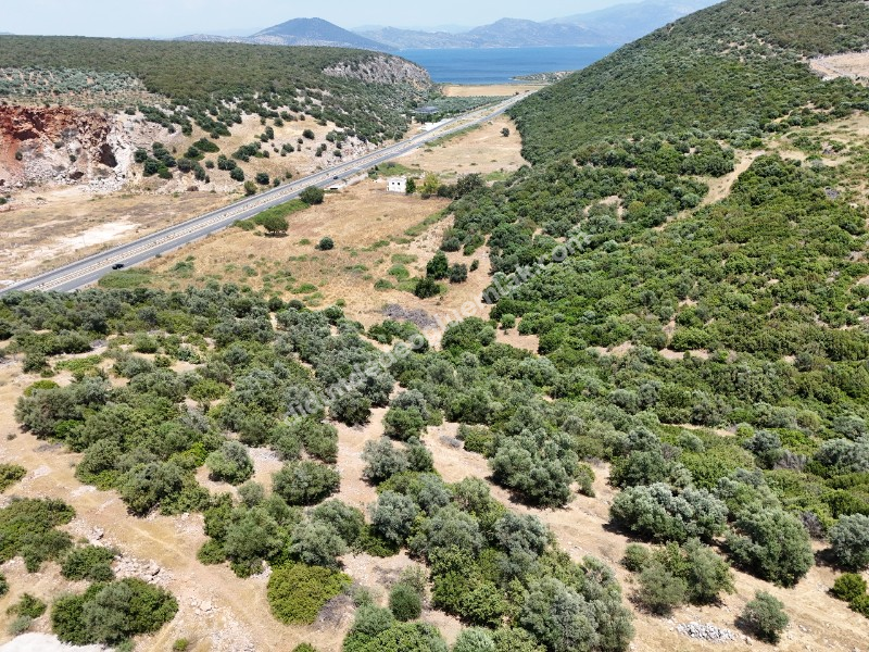 Didim Ak yeniköy Mah Akarkuyu Satılık 351m2 Park Cepeli Arsa