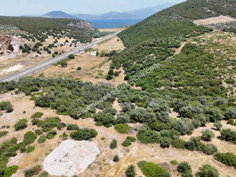 Didim Ak yeniköy Mah Akarkuyu Satılık 351m2 Park Cepeli Arsa