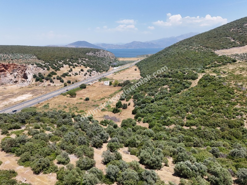 Didim Ak yeniköy Mah Akarkuyu Satılık 351m2 Park Cepeli Arsa