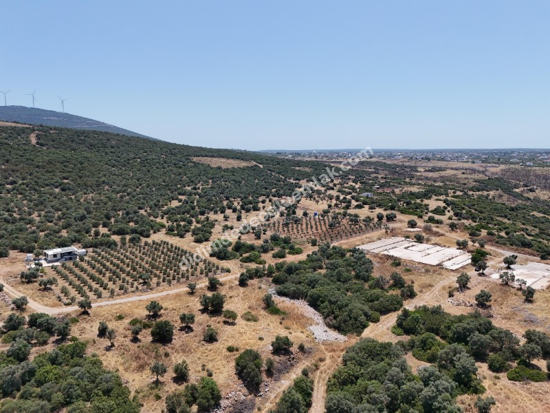 Didim Ak yeniköy Mah Akarkuyu Satılık 351m2 Park Cepeli Arsa