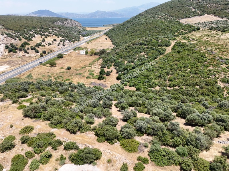 Didim Ak yeniköy Mah Akarkuyu Satılık 351m2 Park Cepeli Arsa