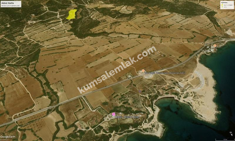 İSKELE YENİ ERENKÖY'DE TARIMSAL ZEYTİNLİK ARAZİ