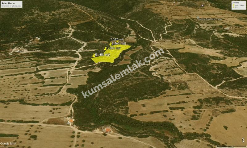 İSKELE YENİ ERENKÖY'DE TARIMSAL ZEYTİNLİK ARAZİ