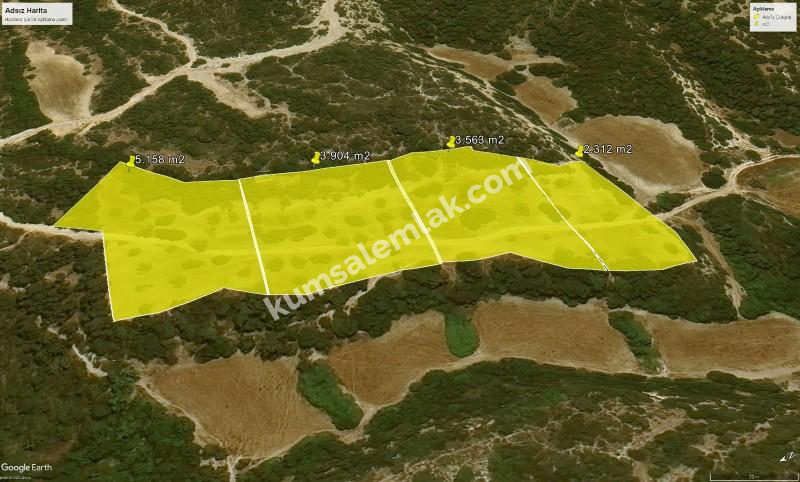 İSKELE YENİ ERENKÖY'DE TARIMSAL ZEYTİNLİK ARAZİ