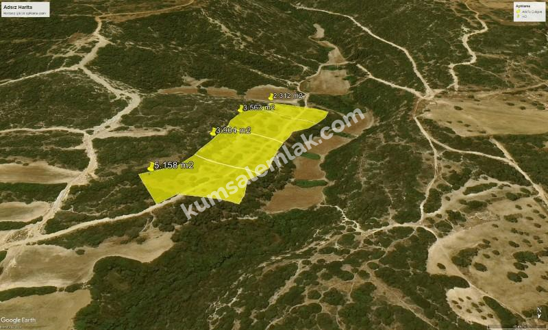 İSKELE YENİ ERENKÖY'DE TARIMSAL ZEYTİNLİK ARAZİ