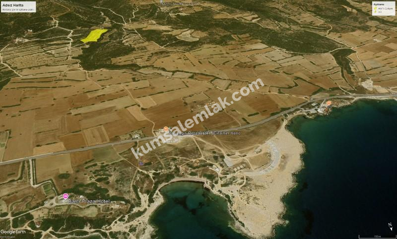 İSKELE YENİ ERENKÖY'DE TARIMSAL ZEYTİNLİK ARAZİ