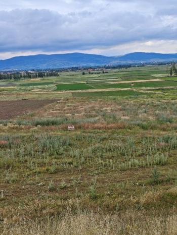 AFYON ÜÇOK EMLAKTAN SİNANPAŞA AKÖREN MEVKİNDE 923M² SATILIK YATIRIMA UYGUN ARSA