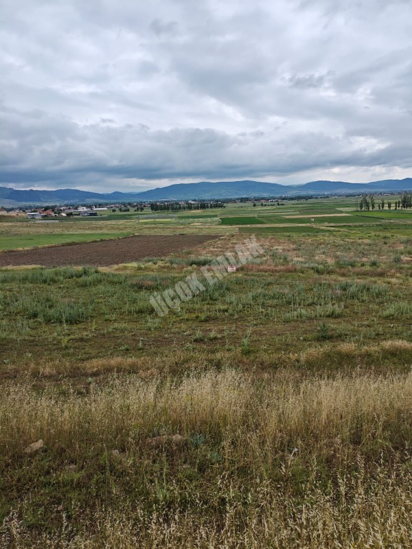 AFYON ÜÇOK EMLAKTAN SİNANPAŞA AKÖREN MEVKİNDE 923M² SATILIK YATIRIMA UYGUN ARSA