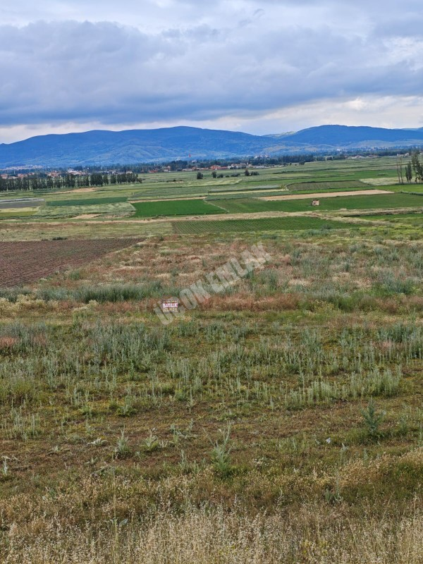 AFYON ÜÇOK EMLAKTAN SİNANPAŞA AKÖREN MEVKİNDE 923M² SATILIK YATIRIMA UYGUN ARSA