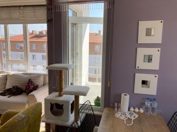 Güvenay - Çorum Yeşil Fırın İlerisi Bahabey Caddesi Üzeri Satılık 4+1 Daire 